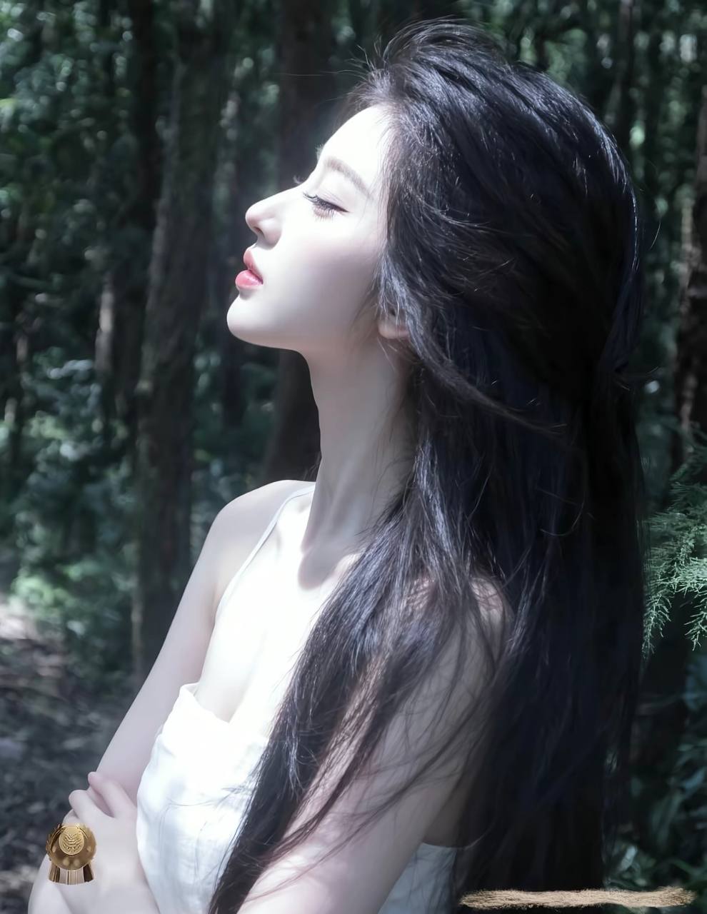 锦衣胶片
